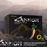 Cannon3